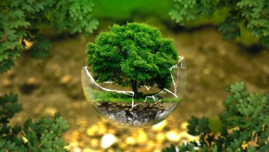 Cinque obiettivi strategici di Green Economy