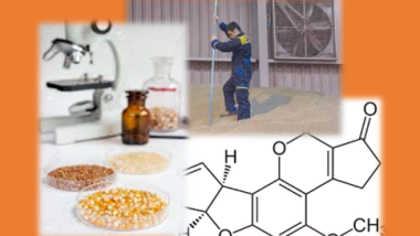 Reg. UE 2023/2782 e 2023/2783: Nuovi campionamenti e requisiti analitici per micotossine e tossine vegetali